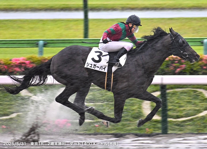 ミリオンセラーII