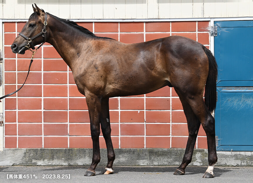 ミリオンセラーII 2022(写真)